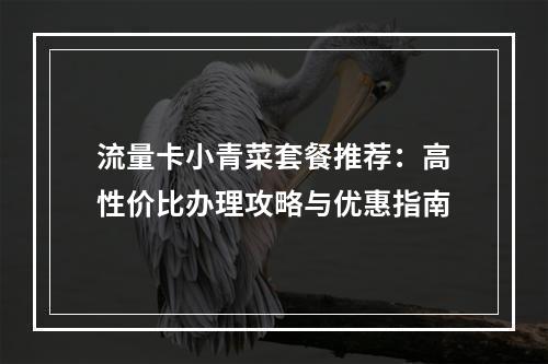 流量卡小青菜套餐推荐：高性价比办理攻略与优惠指南