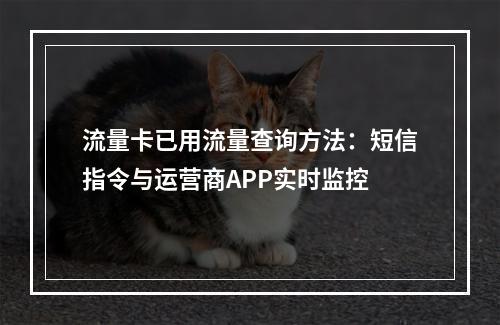流量卡已用流量查询方法：短信指令与运营商APP实时监控