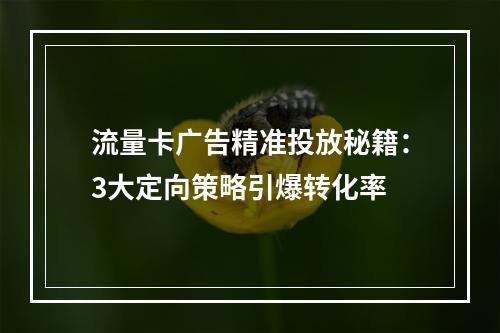 流量卡广告精准投放秘籍：3大定向策略引爆转化率