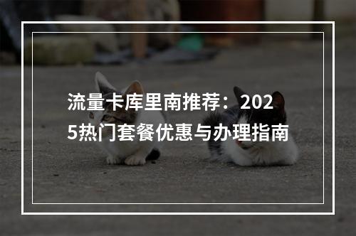 流量卡库里南推荐：2025热门套餐优惠与办理指南