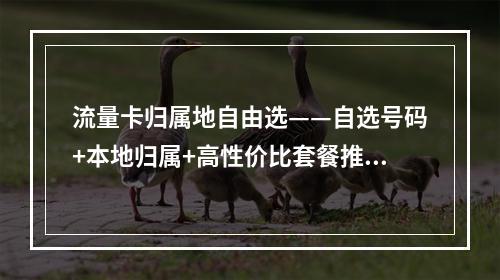 流量卡归属地自由选——自选号码+本地归属+高性价比套餐推荐
