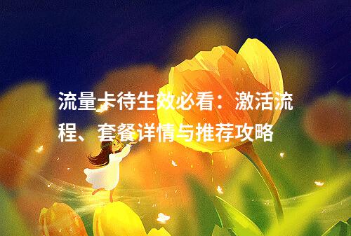 流量卡待生效必看：激活流程、套餐详情与推荐攻略