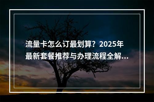 流量卡怎么订最划算？2025年最新套餐推荐与办理流程全解析