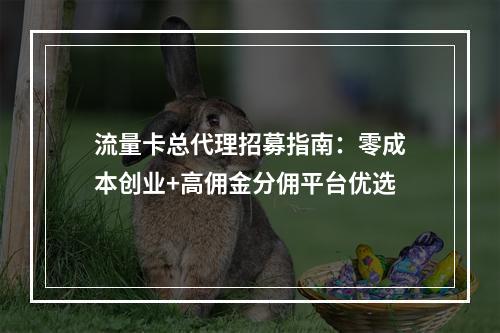 流量卡总代理招募指南：零成本创业+高佣金分佣平台优选