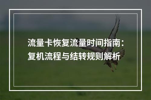 流量卡恢复流量时间指南：复机流程与结转规则解析
