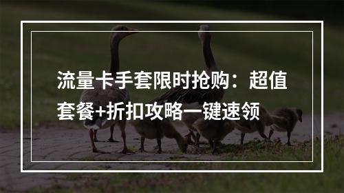 流量卡手套限时抢购：超值套餐+折扣攻略一键速领