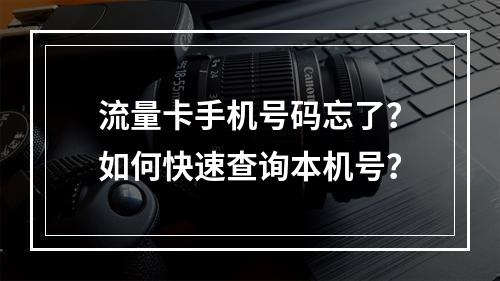 流量卡手机号码忘了？如何快速查询本机号？
