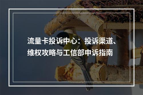 流量卡投诉中心：投诉渠道、维权攻略与工信部申诉指南