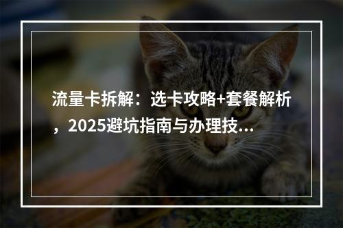 流量卡拆解：选卡攻略+套餐解析，2025避坑指南与办理技巧