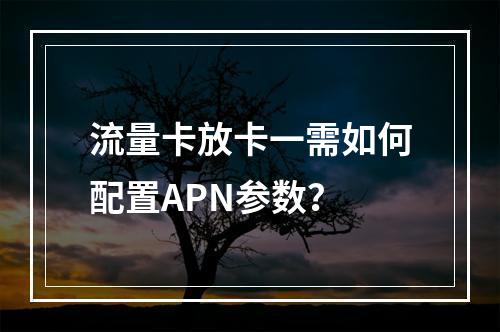 流量卡放卡一需如何配置APN参数？