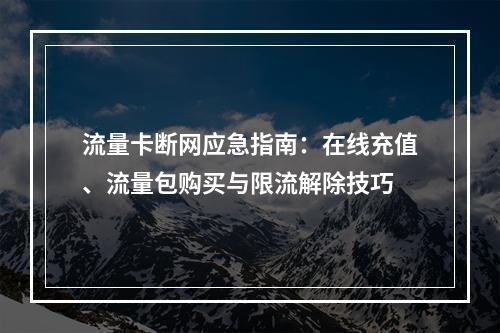 流量卡断网应急指南：在线充值、流量包购买与限流解除技巧