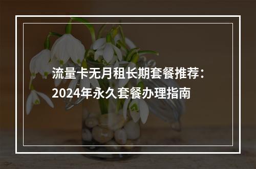 流量卡无月租长期套餐推荐：2024年永久套餐办理指南