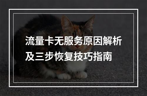 流量卡无服务原因解析及三步恢复技巧指南