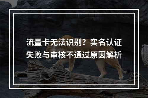 流量卡无法识别？实名认证失败与审核不通过原因解析