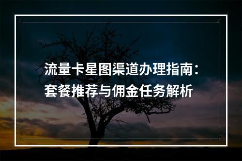 流量卡星图渠道办理指南：套餐推荐与佣金任务解析
