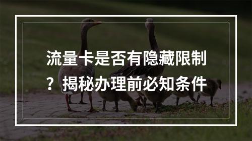 流量卡是否有隐藏限制？揭秘办理前必知条件