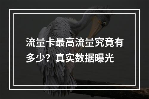 流量卡最高流量究竟有多少？真实数据曝光