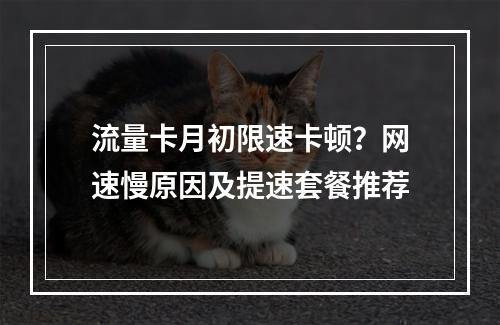 流量卡月初限速卡顿？网速慢原因及提速套餐推荐