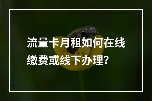 流量卡月租如何在线缴费或线下办理？