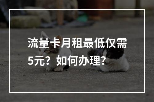 流量卡月租最低仅需5元？如何办理？