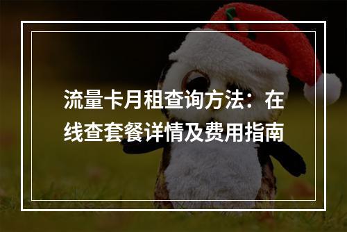 流量卡月租查询方法：在线查套餐详情及费用指南