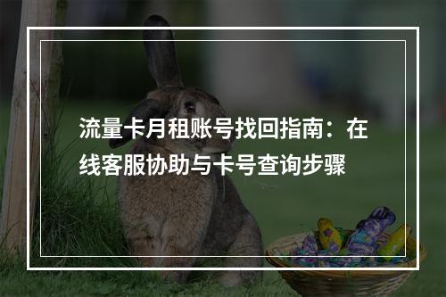 流量卡月租账号找回指南：在线客服协助与卡号查询步骤