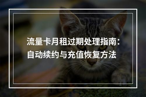 流量卡月租过期处理指南：自动续约与充值恢复方法