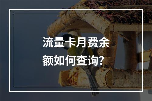 流量卡月费余额如何查询？