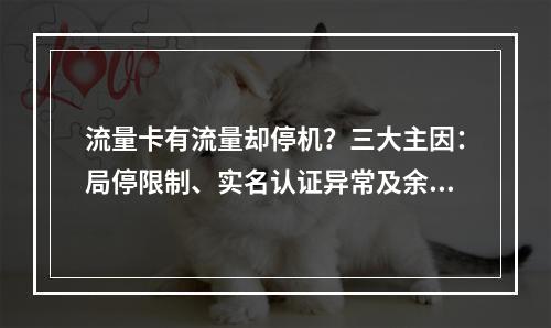 流量卡有流量却停机？三大主因：局停限制、实名认证异常及余额不足