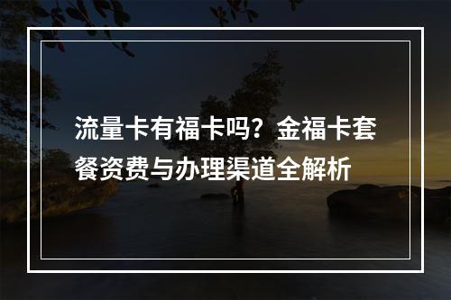 流量卡有福卡吗？金福卡套餐资费与办理渠道全解析
