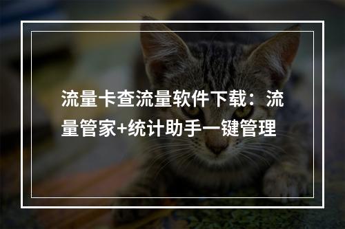 流量卡查流量软件下载：流量管家+统计助手一键管理