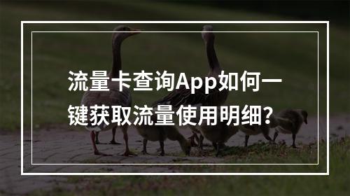 流量卡查询App如何一键获取流量使用明细？