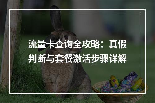 流量卡查询全攻略：真假判断与套餐激活步骤详解
