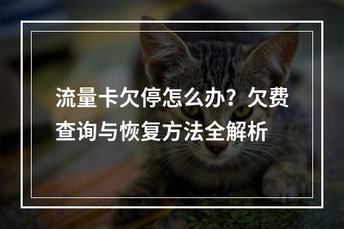 流量卡欠停怎么办？欠费查询与恢复方法全解析