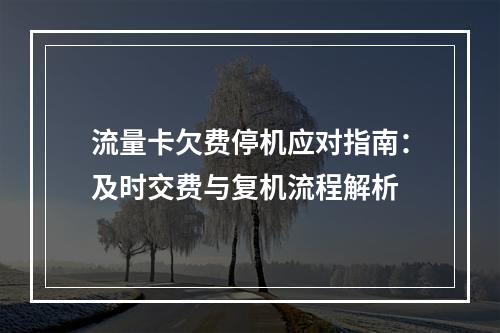 流量卡欠费停机应对指南：及时交费与复机流程解析