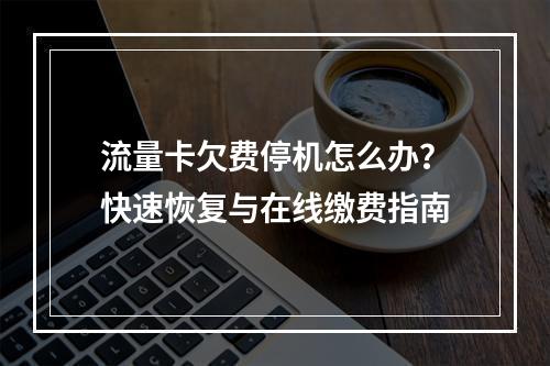 流量卡欠费停机怎么办？快速恢复与在线缴费指南