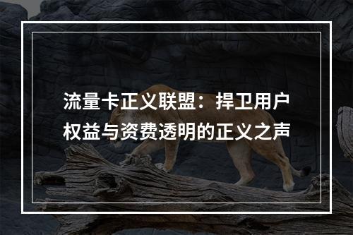 流量卡正义联盟：捍卫用户权益与资费透明的正义之声