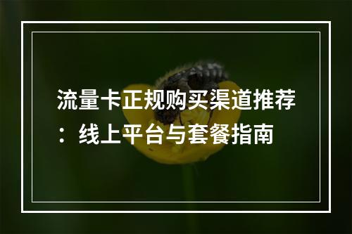 流量卡正规购买渠道推荐：线上平台与套餐指南