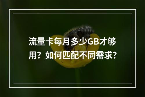 流量卡每月多少GB才够用？如何匹配不同需求？