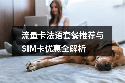 流量卡法语套餐推荐与SIM卡优惠全解析
