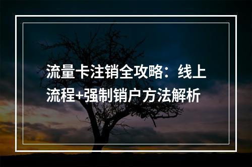 流量卡注销全攻略：线上流程+强制销户方法解析