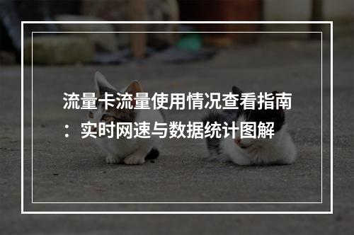 流量卡流量使用情况查看指南：实时网速与数据统计图解