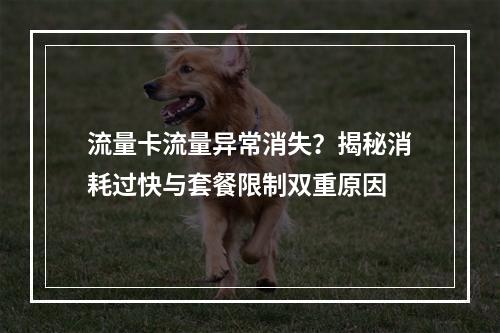 流量卡流量异常消失？揭秘消耗过快与套餐限制双重原因