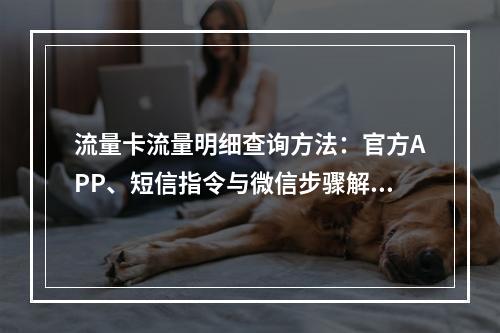 流量卡流量明细查询方法：官方APP、短信指令与微信步骤解析
