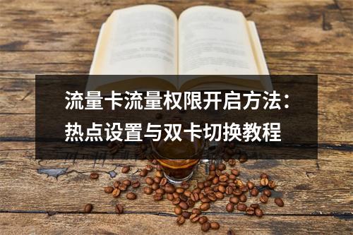 流量卡流量权限开启方法：热点设置与双卡切换教程