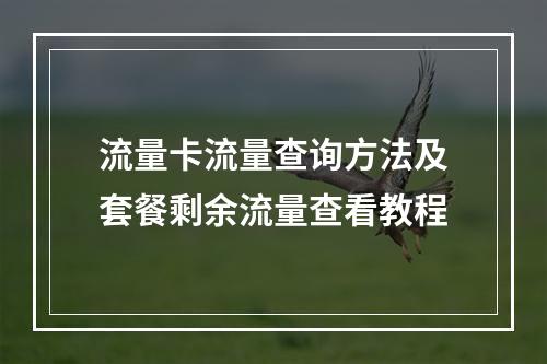 流量卡流量查询方法及套餐剩余流量查看教程