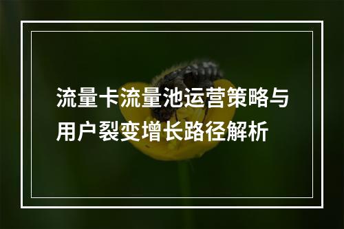 流量卡流量池运营策略与用户裂变增长路径解析