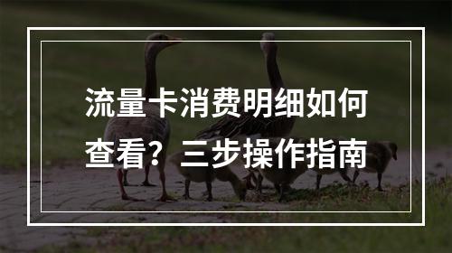 流量卡消费明细如何查看？三步操作指南