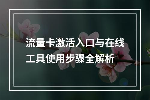 流量卡激活入口与在线工具使用步骤全解析