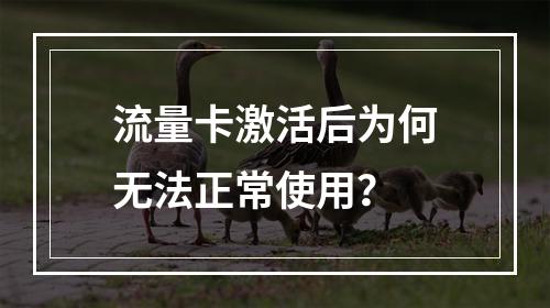 流量卡激活后为何无法正常使用？